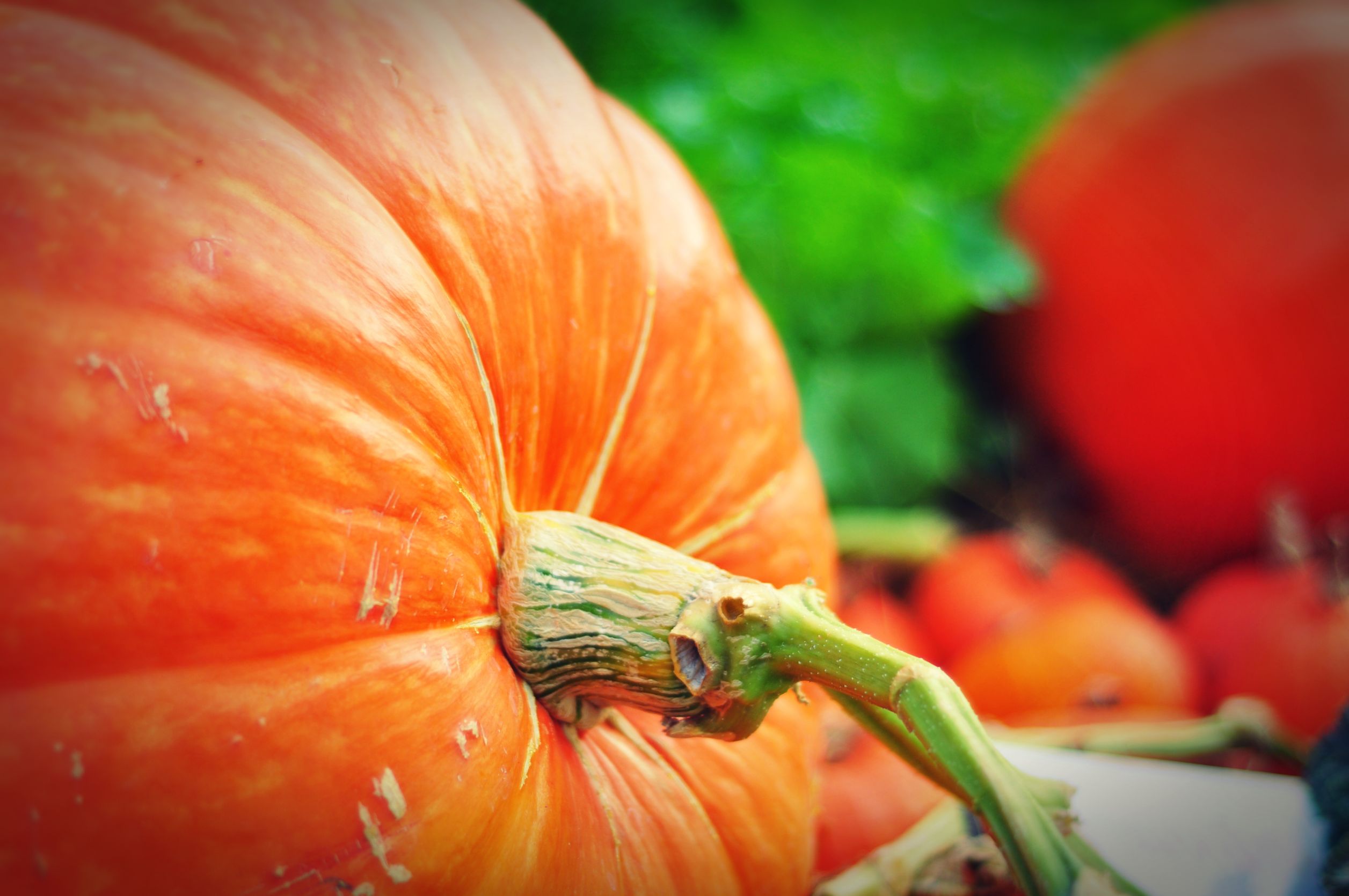Five Can’t-Miss Events in Arizona This Halloween