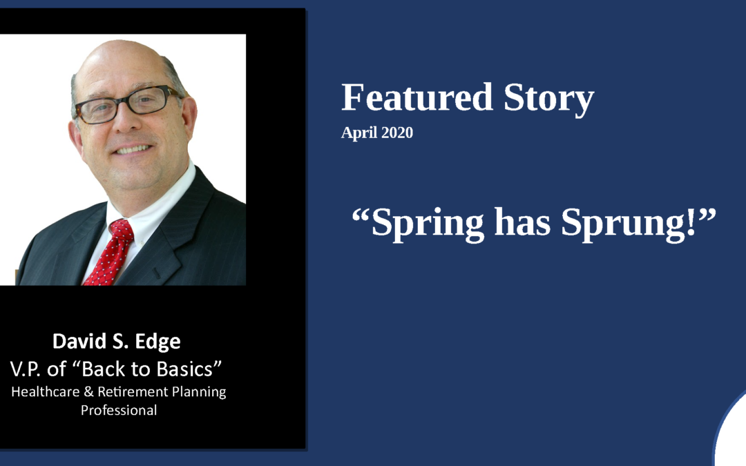 Spring has Sprung – 2020